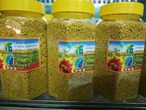 Qinghai pure rapeseed pollen