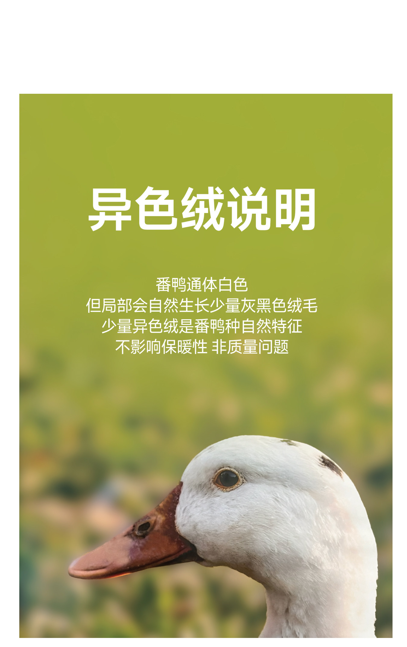 保姆鹅 儿童羽绒服短款外套连帽保暖泡芙男女童防风休闲加厚冬装 — 11
