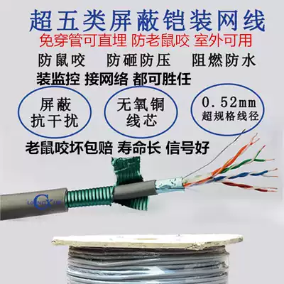 Single shielded armored network cable Outdoor super five oxygen-free copper 0 5 buried network cable waterproof sunscreen antifreeze anti-rat bite