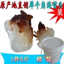 Special aquatic products wild barreled white jellyfish 5kg non-ready-to-eat cold vegetables jellyfish silk skin