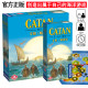 ບັດເກມກະດານ Catan ທີ່ແທ້ຈິງຂອງຄອບຄົວ Catan Catan ພໍ່ແມ່-ເດັກນ້ອຍ ຜູ້ໃຫຍ່ຫຼາຍຄົນຫຼິ້ນເກມຫຼິ້ນແບບສະບາຍໆ