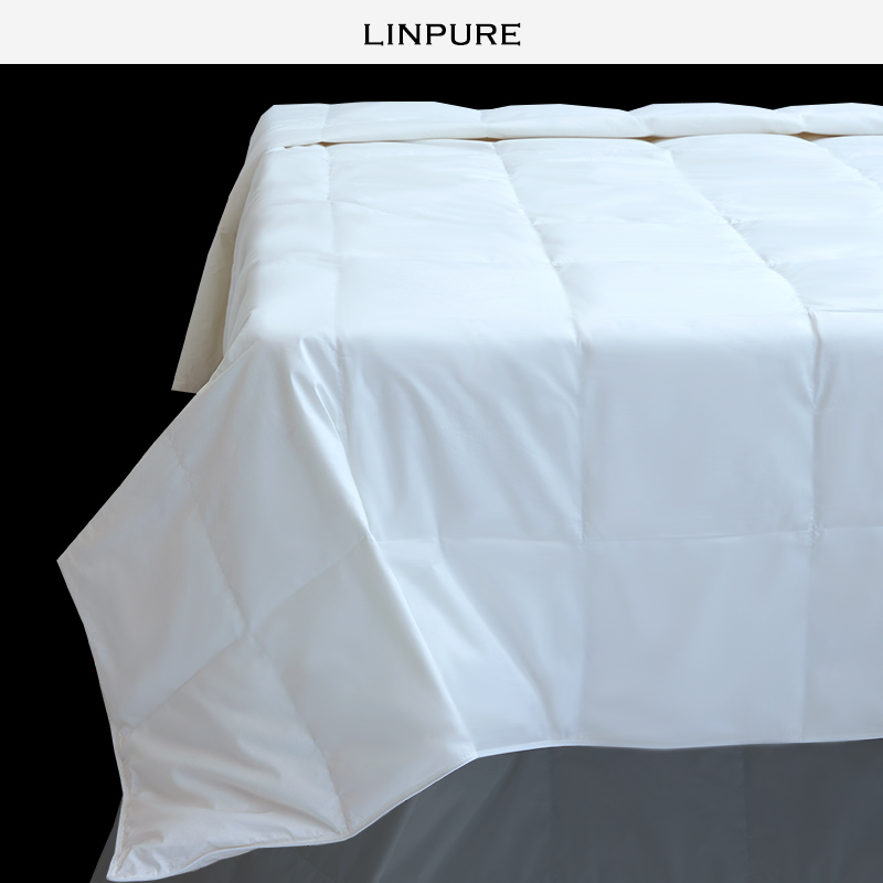 Blue platinum duvet core 90 down white goose down clean fluffy comfortable washable summer quilt