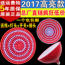 Customized led fresh lamp pork lamp braised meat stewed vegetable deli special lamp supermarket vegetable fruit seafood chandelier