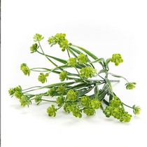 Simulation Botanical plant wall Decorative Floral Green Moss Lawn with straw Plastic Water Grass Leaf Water Fairy Flowers Tea Flowers