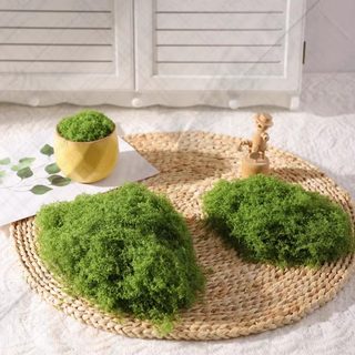 Simulated white hair moss fish tank bonsai soft decoration