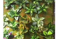 Simulation of plants many types of artificial flowers artificial flowers simulation plants plants wall scenes plants plants green plants