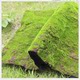 Simulated Green plant wall moss lawn moss lawn simulated moss bonsai scene window fake moss soft decoration