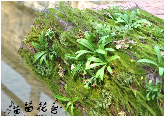 Simulation Green Moss Lawn Plant Wall Lawn Moss Lawn Planting Moss Lawn Finished Green Moss Lawn Simulation Plant