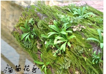 Simulation moss lawn plant wall lawn moss lawn plant hair lawn finished moss lawn simulation plant