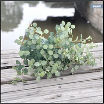 Simulation of eucalyptus green plant wall matching indoor green plant wall plant wall material