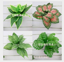 Simulation of green plants green leaves plants simulation of green leaves zebra white side lawn plant wall design