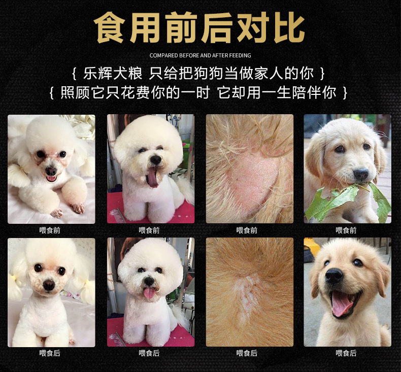 Thức ăn cho chó da lộn loại gấu bông Lông vàng lông Samoyed tự nhiên chó nhỏ chó lớn thành chó con thức ăn 5 kg - Chó Staples pate cho chó con