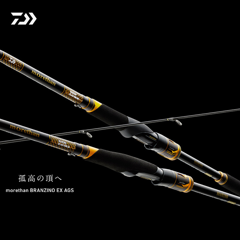 ダイワのシーバスロッド、超長距離キャスティングが可能なMORETHANルアーフィッシングロッド、ショアキャスティングロッド、大型魚向けのプロ仕様の海釣りロッド。