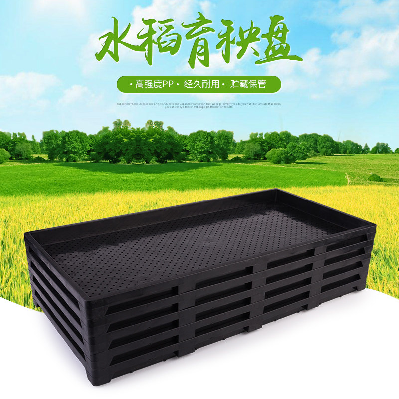 Jinnong PP hard 9 inch 7 inch machine insert hard seedling plate Rice seedling plate seedling plate throwing plate Rice culture seedling basin