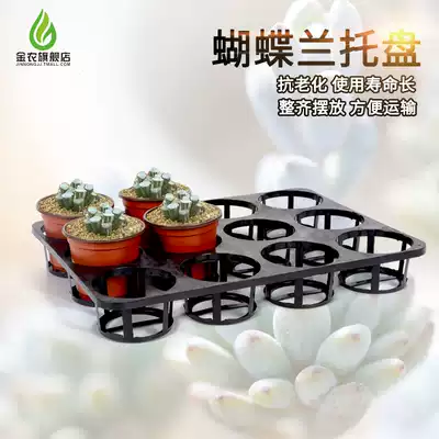 Special promotion nursery hole plate Phalaenopsis tray 12 holes 15 holes tray Flower nursery pot tray plastic