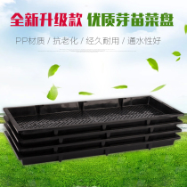 Jinnong sprouts vegetable plate planting seedling Plate Basin bean sprouts wheat grass sprouts seedling tray multi-meat sowing Culture Box