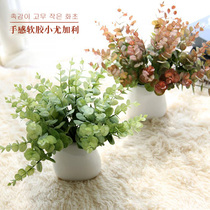 Small Eucalyptus money leaf feel soft glue simulation flower plant wall fake flower small fresh flowers photo props