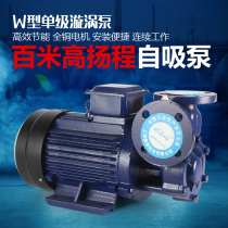 Horizontal W-type 380V high pressure vortex pump clear water pump high head pipeline pump high-rise booster pump Pipeline centrifugal pump