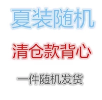 Случайный съемный жилет