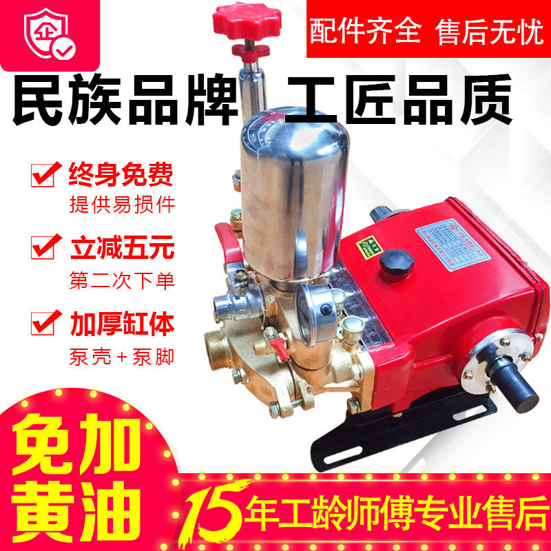 80 90 120 type high pressure triplex plunger pump mountain remote water supply pump spray pump sprayer fog gun machine pump