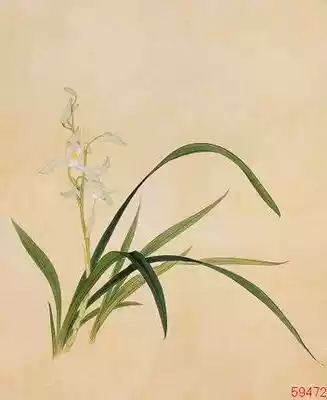 Jinwu needle handmade Su embroidery diy beginner kit orchid zero basic entry manual diy embroidery material package