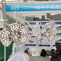 Medical LED Astral Surgery Light Petal Style No Shadow Lamp Electric Surgery Bed Hospital No Shadow Light Surgery Lamp Hanging Tower
