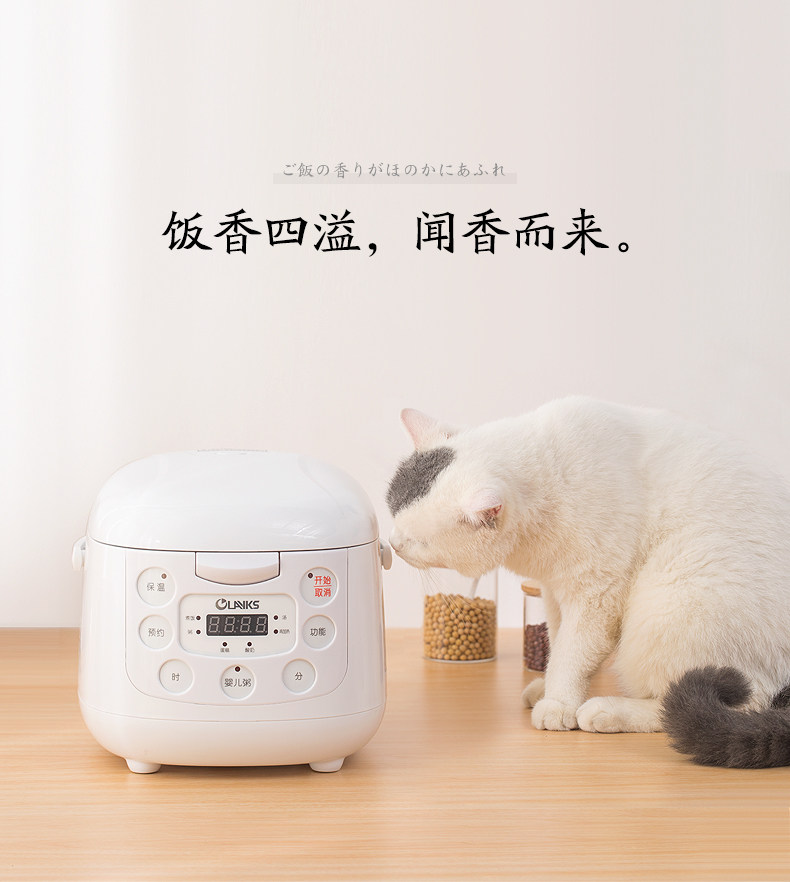 OLAYKS 家用迷你電飯煲