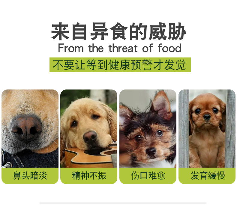 Chó Đài Loan nguyên tố vi lượng Chó con Teddy Chó Golden Retriever ăn 啃 吃 吃 猫 - Cat / Dog Health bổ sung sữa cho chó trưởng thành
