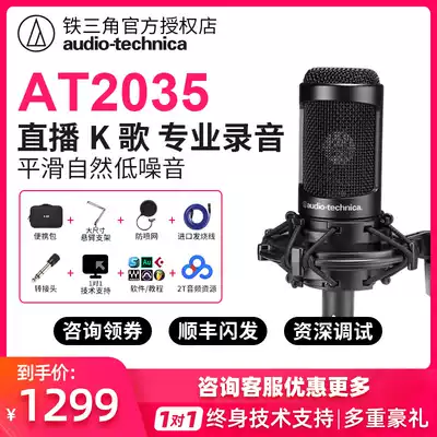 Audio Technica AT2035 Live Mobile Phone K song Recording Microphone Microphone Set