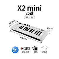 X2mini (мини -ключ) пентри+подлинное программное обеспечение для организации