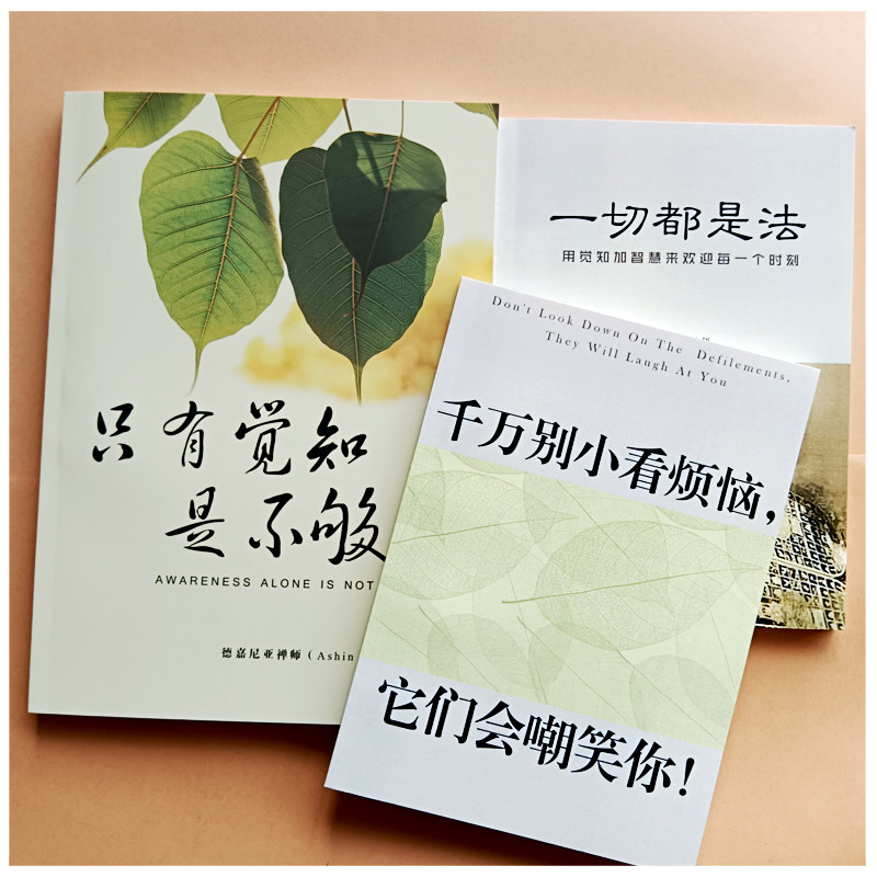 🌟《正版仅仅只有觉知是不够》:心灵觉醒的深度探索📚-兴趣/生活-淘宝好物网