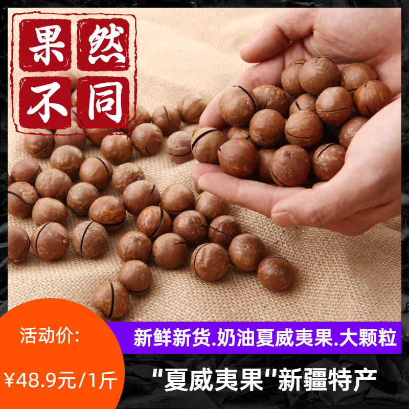 2022 New Arrival Extra Large Cream Macadamia Nut Casual Snack Xinjiang Specialty Product 500g New Year's Arrival Nuts in Bulk