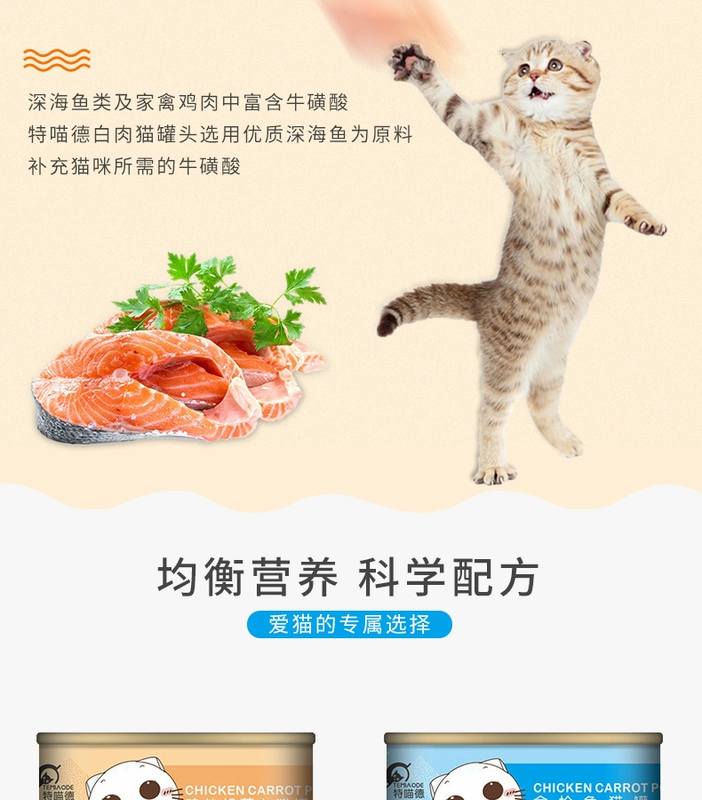 Teddy cá ngừ mèo đóng hộp thịt trắng âm hộ mèo ăn nhẹ súp súp thức ăn ướt 80g * 24 lon protein cao - Đồ ăn nhẹ cho mèo