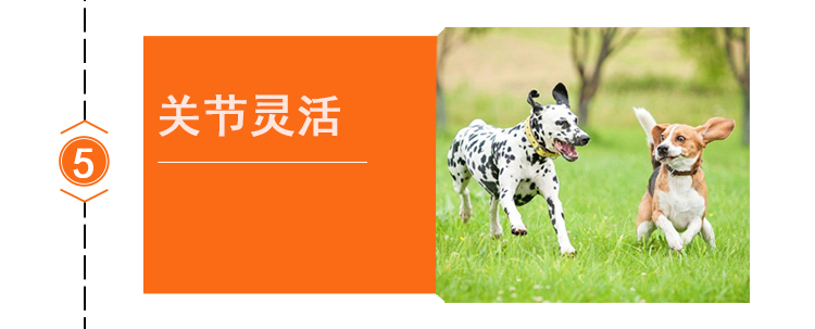 Sói bộ lạc con chó thực phẩm trứng lòng đỏ sữa bánh 1.5kg con chó thực phẩm jin mao bông satsuma chung con chó chính thực phẩm tỉnh sữa royal canin