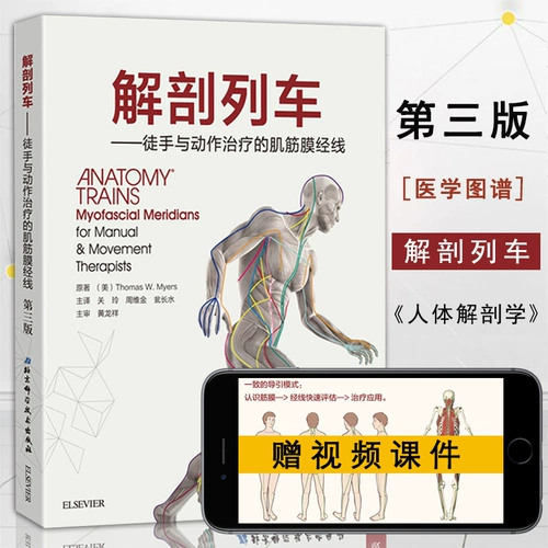 [Полный 300 минус 30] Анатомический поезд упростил китайский 33 -е издание Гуанс Гуань Линг, основные переводчики и боевика мускулистого фасции меридиан, полноцветный полноцветный