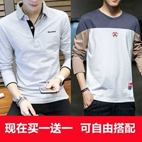 T1002 Grey +5888 Grey