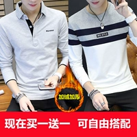 T1002 Grey +8950 белый (плюс бархат