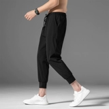 Мужские шелковые демисезонные утепленные трендовые универсальные штаны, спортивные быстросохнущие удерживающие тепло повседневные брюки, осенние, свободный крой