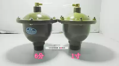 Needle isolation exhaust valve Pipe vertical automatic exhaust valve pressure relief valve aluminum body plastic ball boiler heating