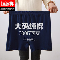 Hengyuanxiang mens underwear cotton boxer mens fat increase loose fat boy cotton four-corner shorts head