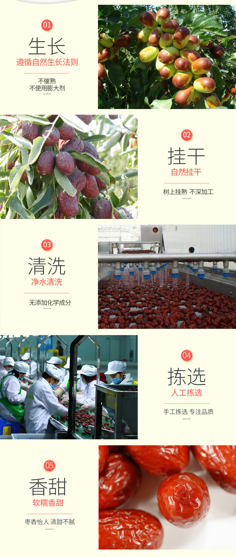 一果倾城 新疆免洗若羌红枣 500g 肉厚核小 甜度高 图3