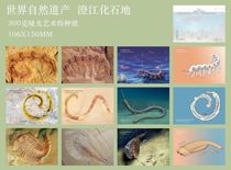 2024 World Natural Heritage Chengjiang Fossil Postcard Set of 12