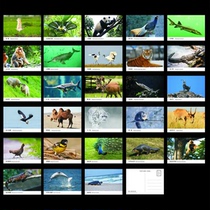 A set of 28 nationally protected wild animal postcards