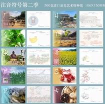 2023 Bayan Province Phonetic Symbols Postcards Season 2 Set of 10