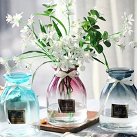 Bình thủy tinh sáng tạo châu Âu chai thủy canh xanh lily lily bình phòng khách trang trí hoa khô bình hoa trang trí - Vase / Bồn hoa & Kệ chậu nhựa hình chữ nhật