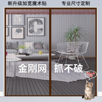 King Kong Net anti-mosquito curtain Velcro Summer Screen screen window fly partition self-priming magnet non-perforated mosquito net