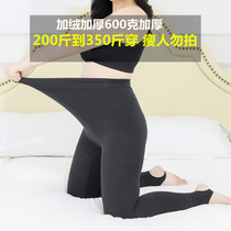 Autumn and winter 300 Jin fat mm extra size plus velvet leggings women wear plus size warm cotton pants
