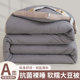 Antibacterial Soy Fiber Quilt, Winter Quilt, Thickened Air-Conditioned Quilt, Warm Cotton Quilt Core, Student Dormitory Spring and Autumn Quilt