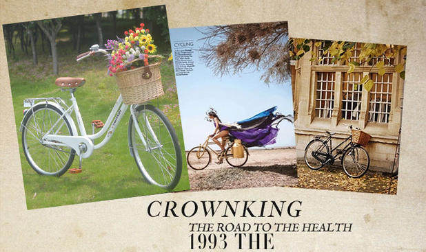 Panier pour vélo FLYING PIGEON en vigne - Ref 2257725 Image 6