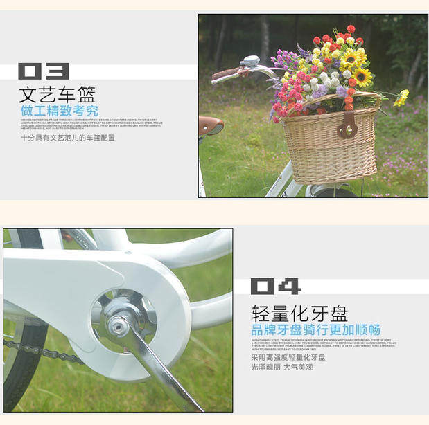 Panier pour vélo FLYING PIGEON en vigne - Ref 2257725 Image 8